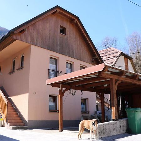 Zaga Apartma Na Vasi 아파트 외부 사진