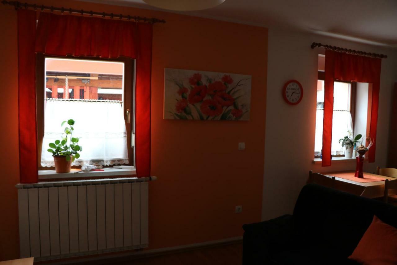 Zaga Apartma Na Vasi 아파트 외부 사진